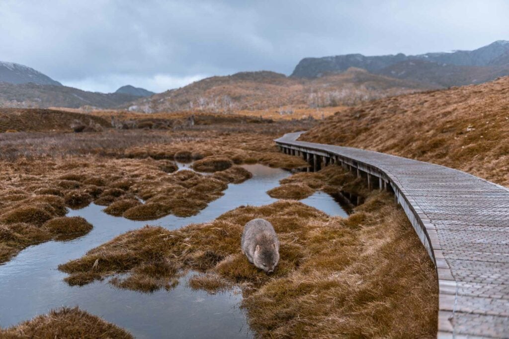 tourist attractions in tasmania