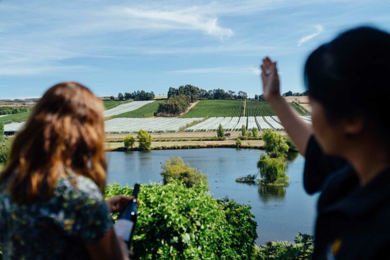 The 5 Best Wineries in the Tamar Valley