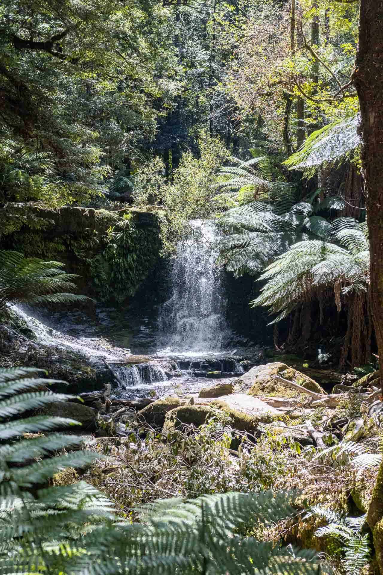 Russell Falls Tasmania00025 HDR